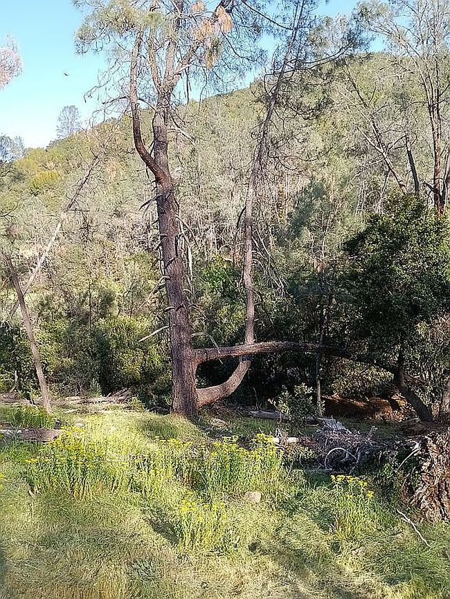 Image of 4706 Kaweah Rd
