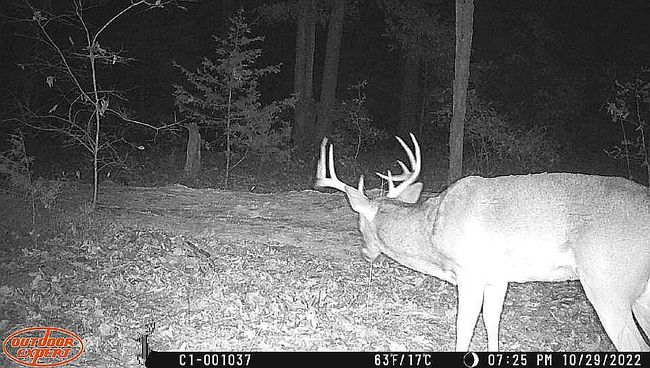 Image of 6030 Se 740 P Vt Rd