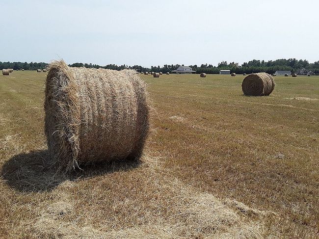 Image of 200 W Sellers Rd
