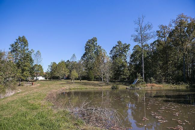 Image of 931 Toms Creek Trl