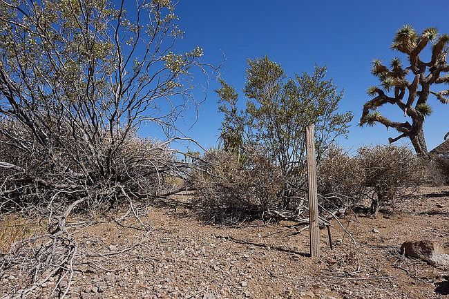 Photo of 8346 W Indian Peak Dr, White Hills, AZ