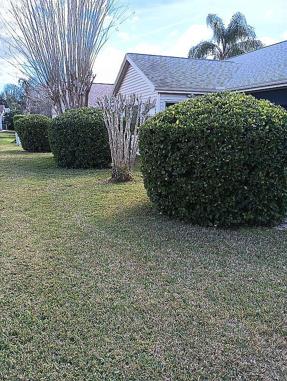 Image of 419 Aldama Ave
