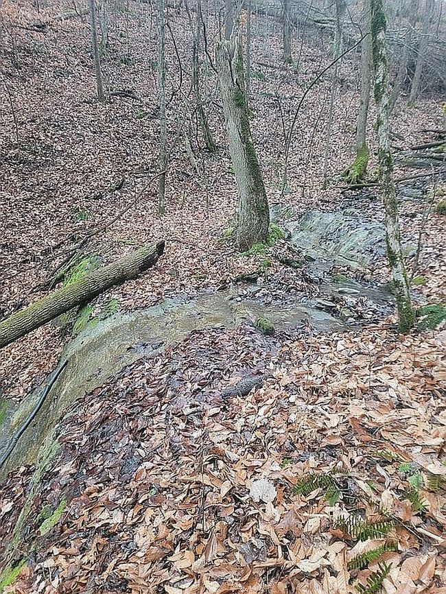 Image of 558 Beeline Rd