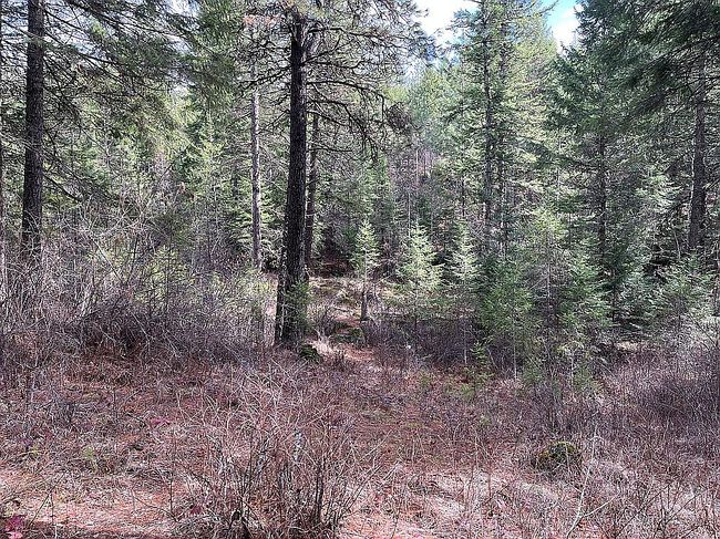 Image of 514 Destiny Bay Rd