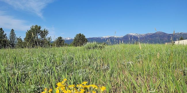 Photo of 80 Goslin Loop, Cascade, ID