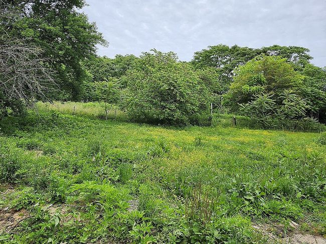 Photo of 119 Floyd Padgett Ln, Crawford, TN