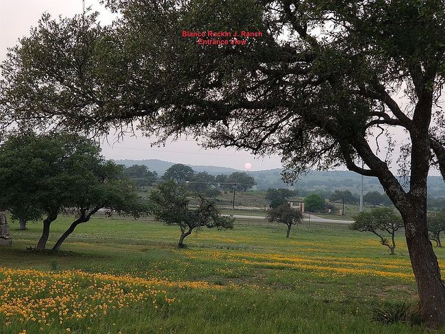 Photo of 112 Riley Wood, Blanco, TX