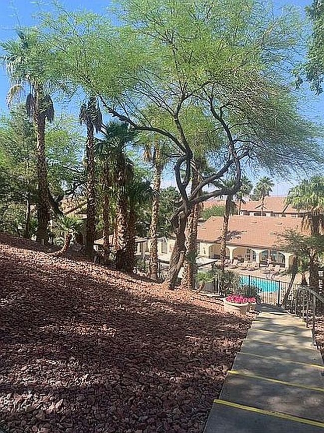 Image of 231 W Horizon Ridge Pkwy Apt 527