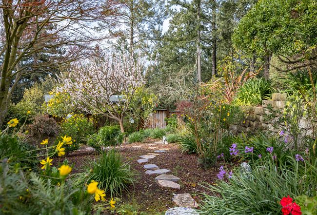 Photo of 625 Lassen Park Ct, Scotts Valley, CA