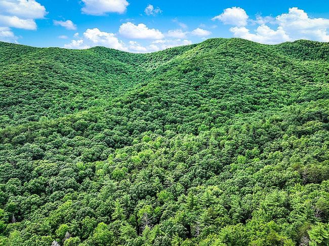Photo of 105 Thurmond Walker Rd, Dahlonega, GA