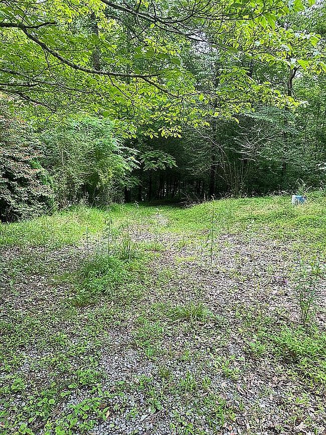 Photo of 134 Charles Rd, Ellijay, GA