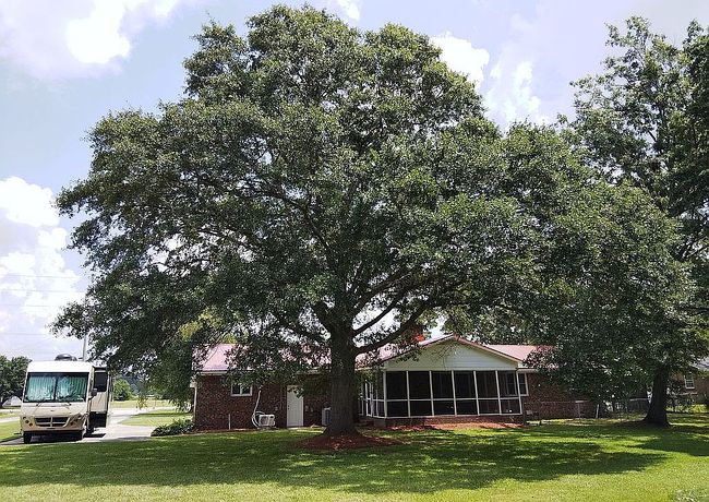 Photo of 4030 Charles Blvd, Greenville, NC