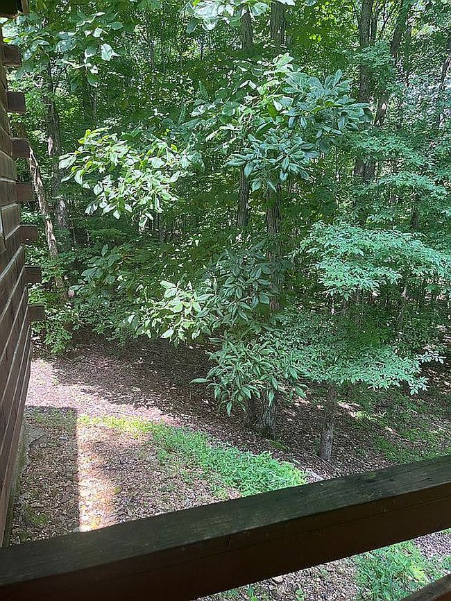Photo of 96 Dogwood Cv, Cadiz, KY