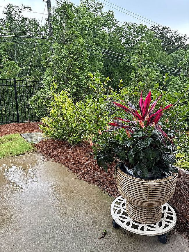 Photo of 226 Idylwilde Way, Canton, GA