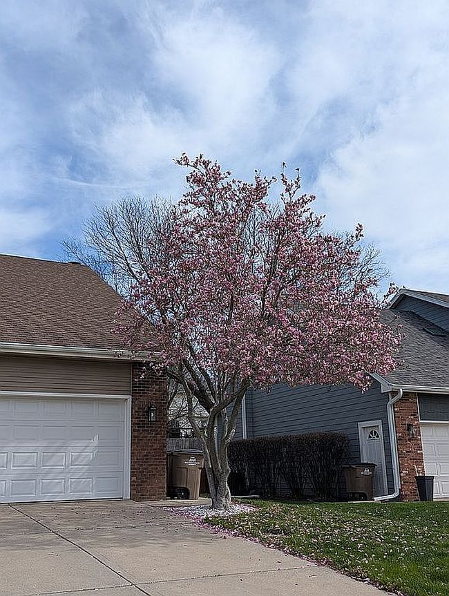 Additional photo 1 of property located at 5509 Cody Dr