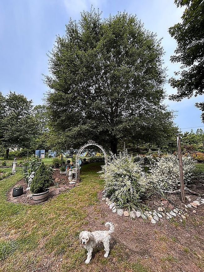 Photo of 35 Bayshore Rd, Cape May, NJ