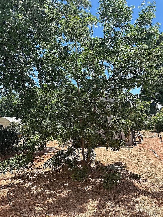 Photo of 2221 S Prairie Ave Lot 52, Pueblo, CO