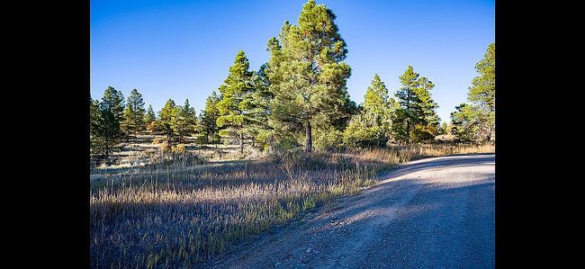 Photo of 1347 Trails Blvd, Pagosa Springs, CO