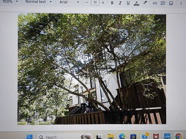 Image of 1778 Westwind Way