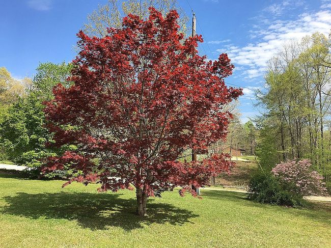 Photo of 227 County Road 864, Dennis, MS