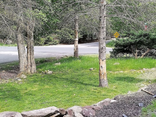 Photo of 7381 Ventnor Dr, Tobyhanna, PA