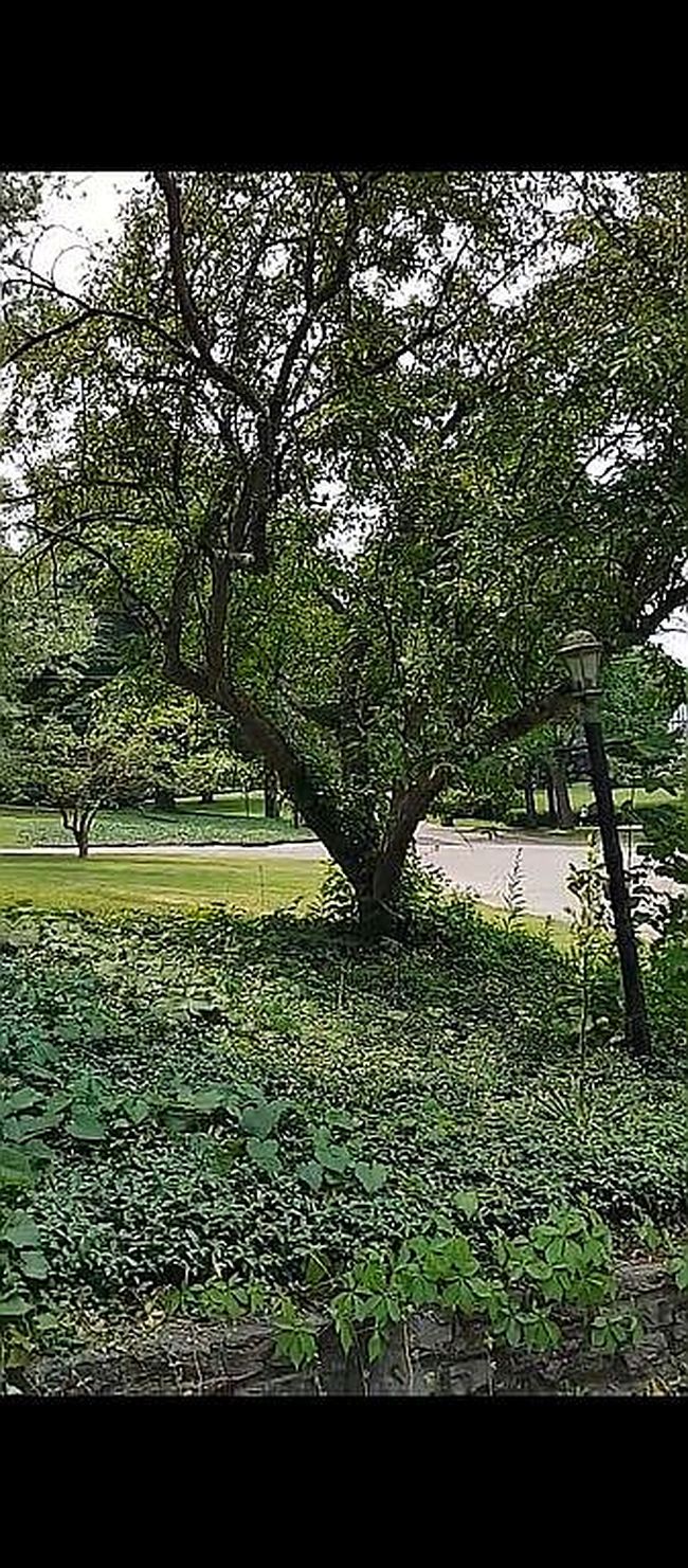 Image of 3360 Blossom Heath Rd