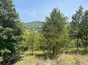 Preview of property located at 9 Quail Run Ln