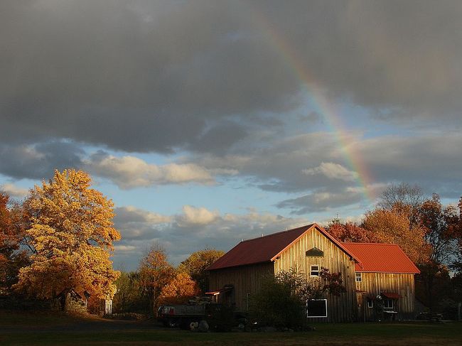 Image of 31 Fawn Ln