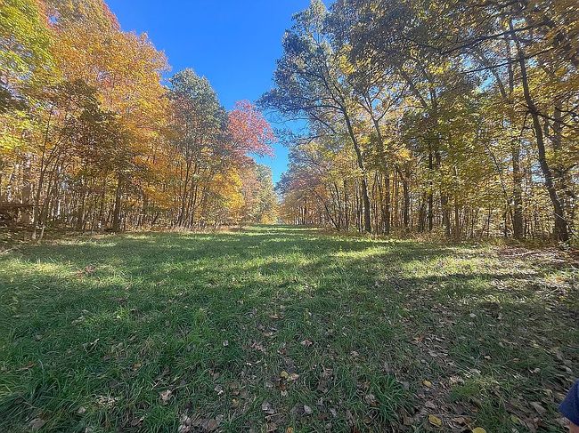 Preview of property located at 7273 Raleigh Lagrange Rd