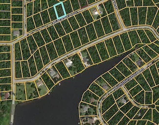 Image of 1408 Blackbird Ln