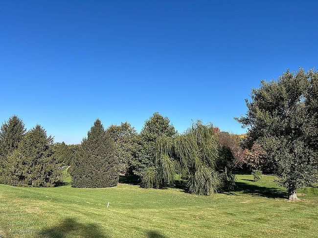 Image of 2279 Pheasant Ridge Ln