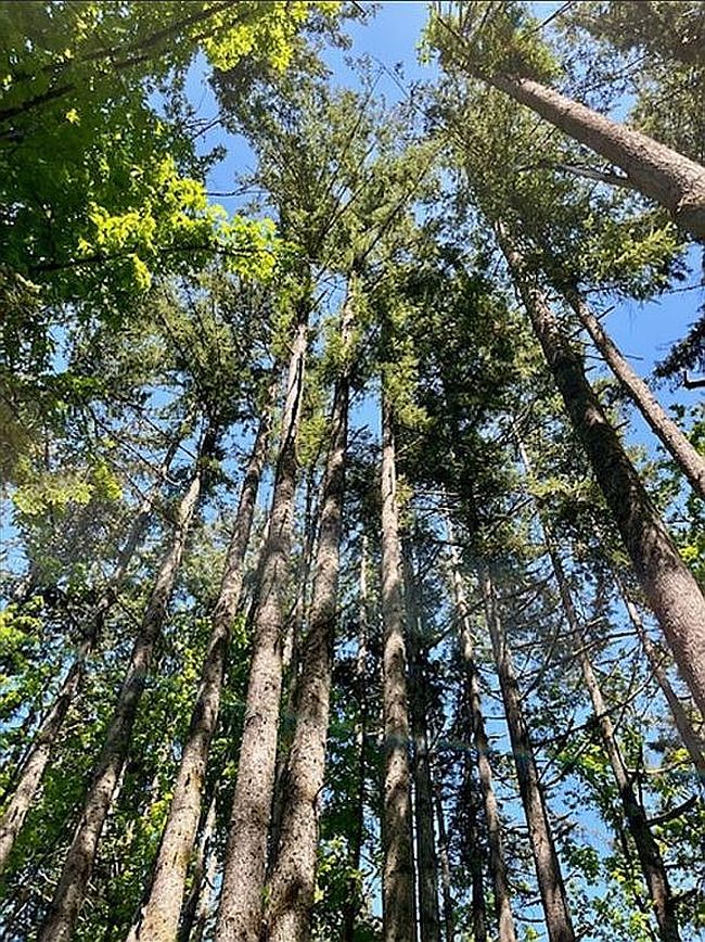 Additional photo 2 of property located at 2678 Drift Creek Rd Ne