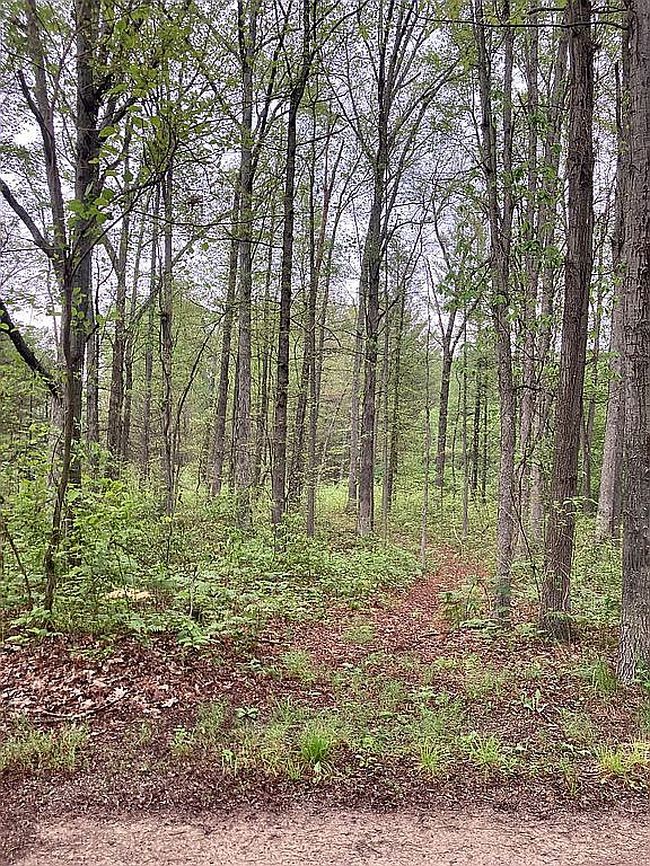 Image of Fire Ln #3