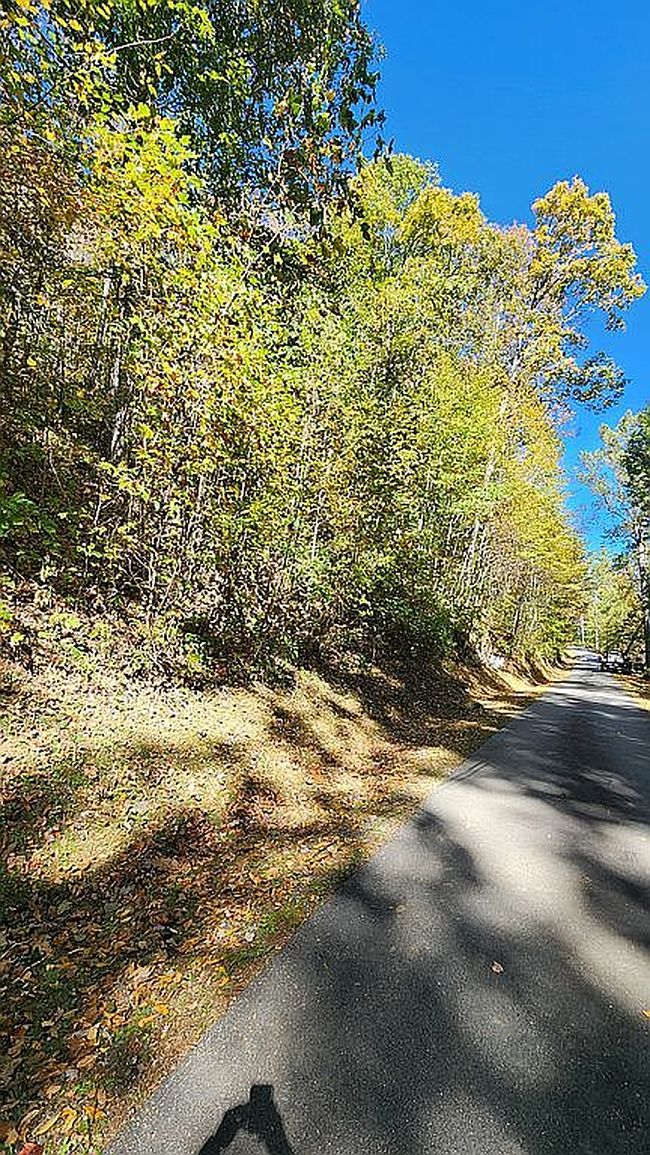 Photo of 14 S Woods Mountain Trl, Cullowhee, NC