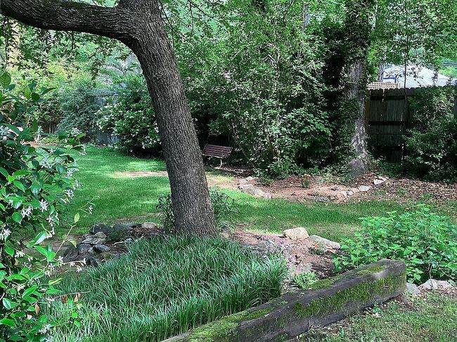 Image of 1254 Juniper Dr
