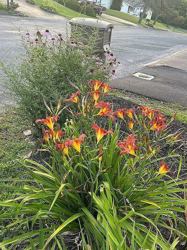 Photo of 7 Greenwood Ave, Lock Haven, PA