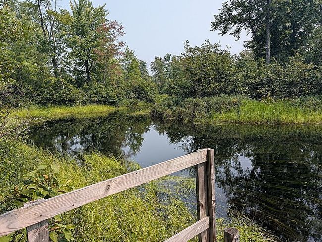 Photo of 3021 Teed Rd, Houghton Lake, MI
