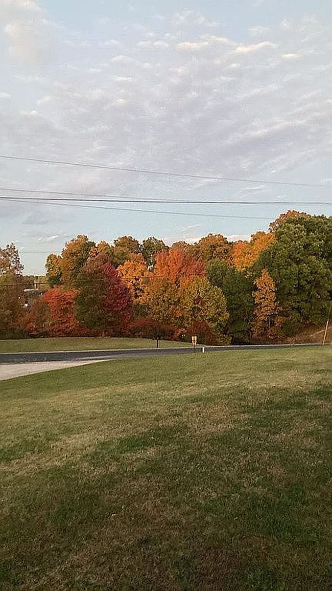 Image of 9885 Brushy Fork Rd