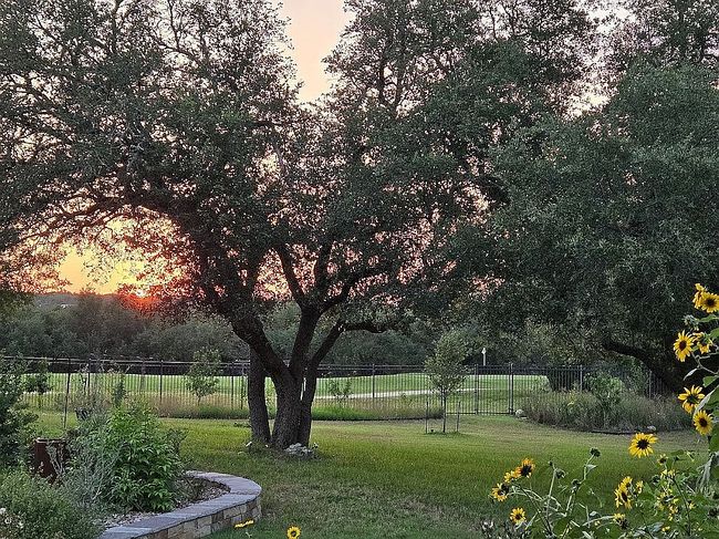 Photo of 656 River Way, Spring Branch, TX