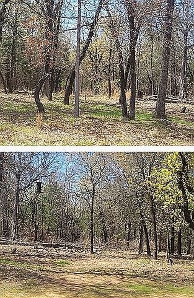 Image of 38206 Lonesome Dove Rd