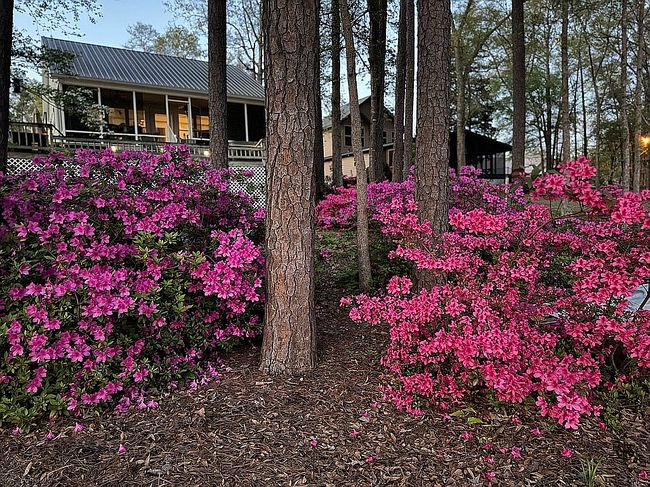 Additional photo 2 of property located at 5 Thomas Mill Ct