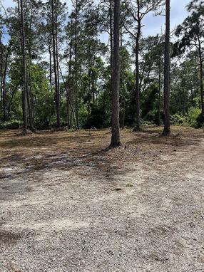 Preview of property located at 4108 Budd Rd