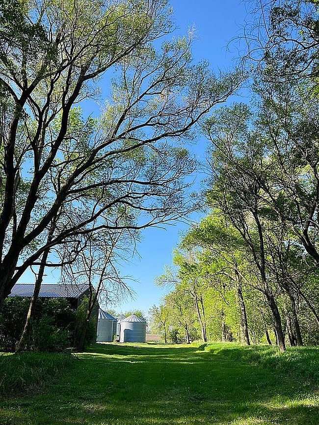Photo of 21469 452nd Ave, Arlington, SD