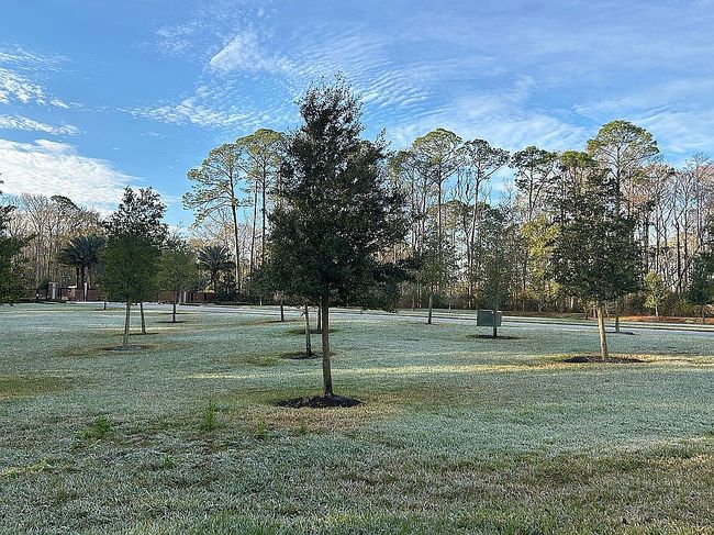 Image of 10149 Filament Blvd