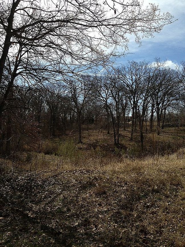 Image of Lone Oak Ln