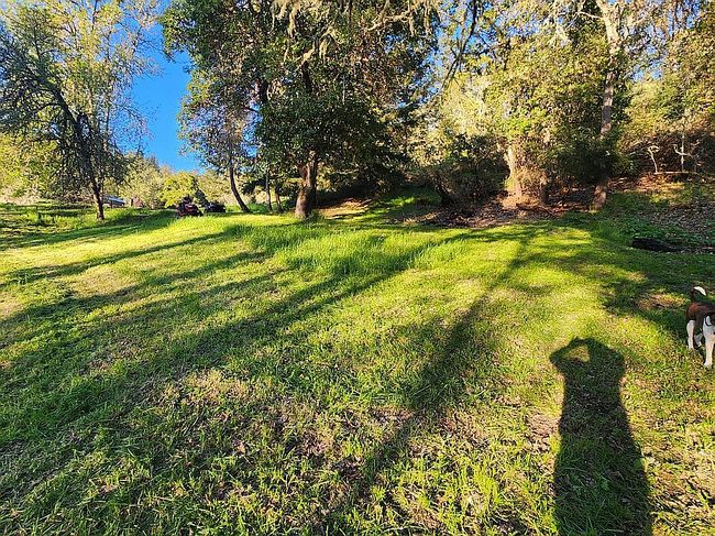 Image of 1245 Sunshine Rd