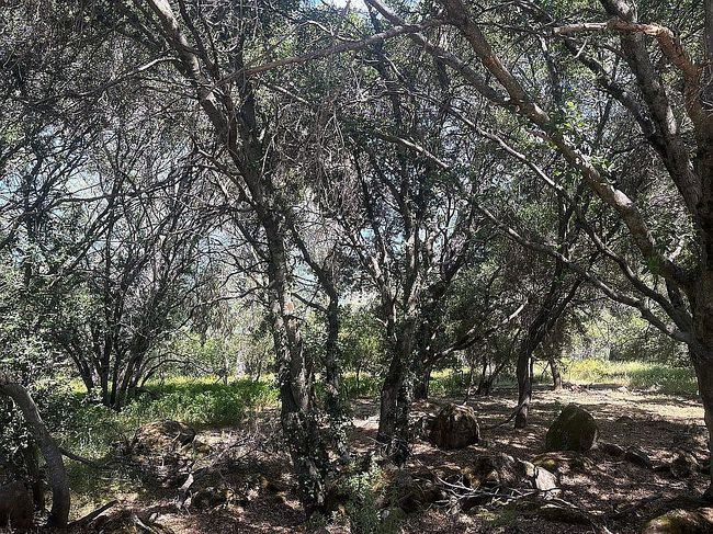Photo of 10858 Northslope Dr, Kelseyville, CA