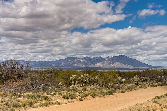 16224 W Montrose Ave, Tucson, AZ