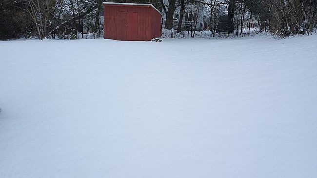 Image of 381 Birch St