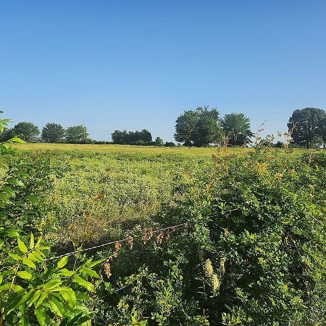 Photo of 277 Private Road 5552, Alba, TX
